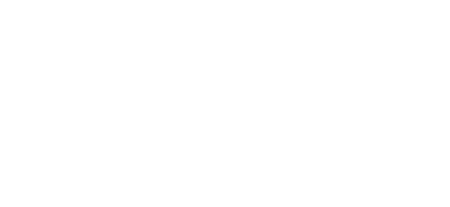 APL Logo